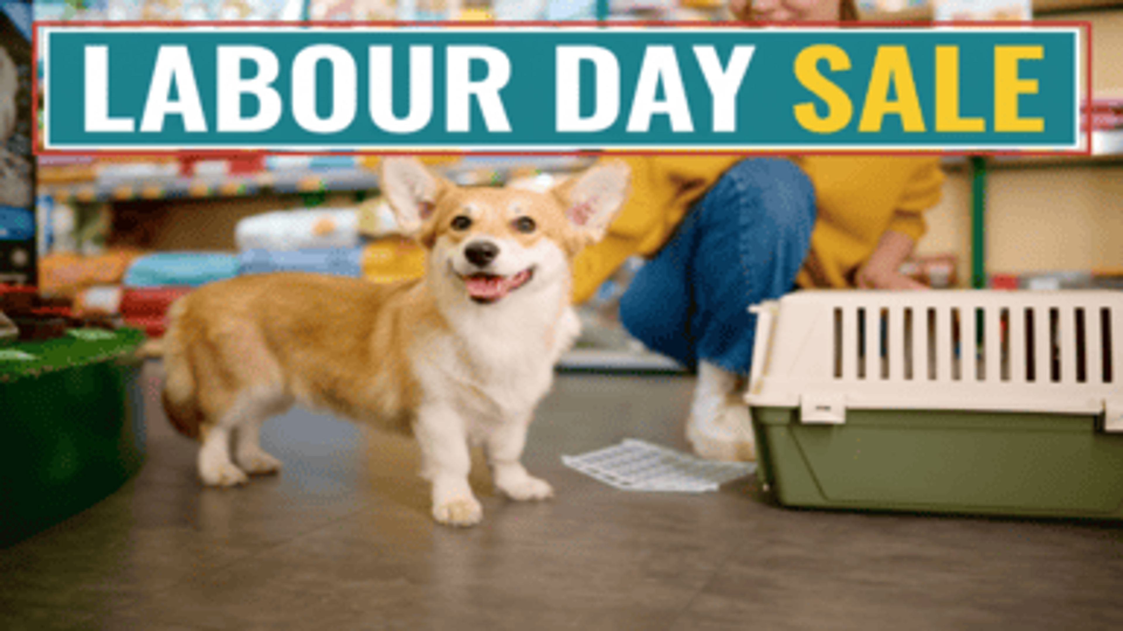 Labour Day Sale