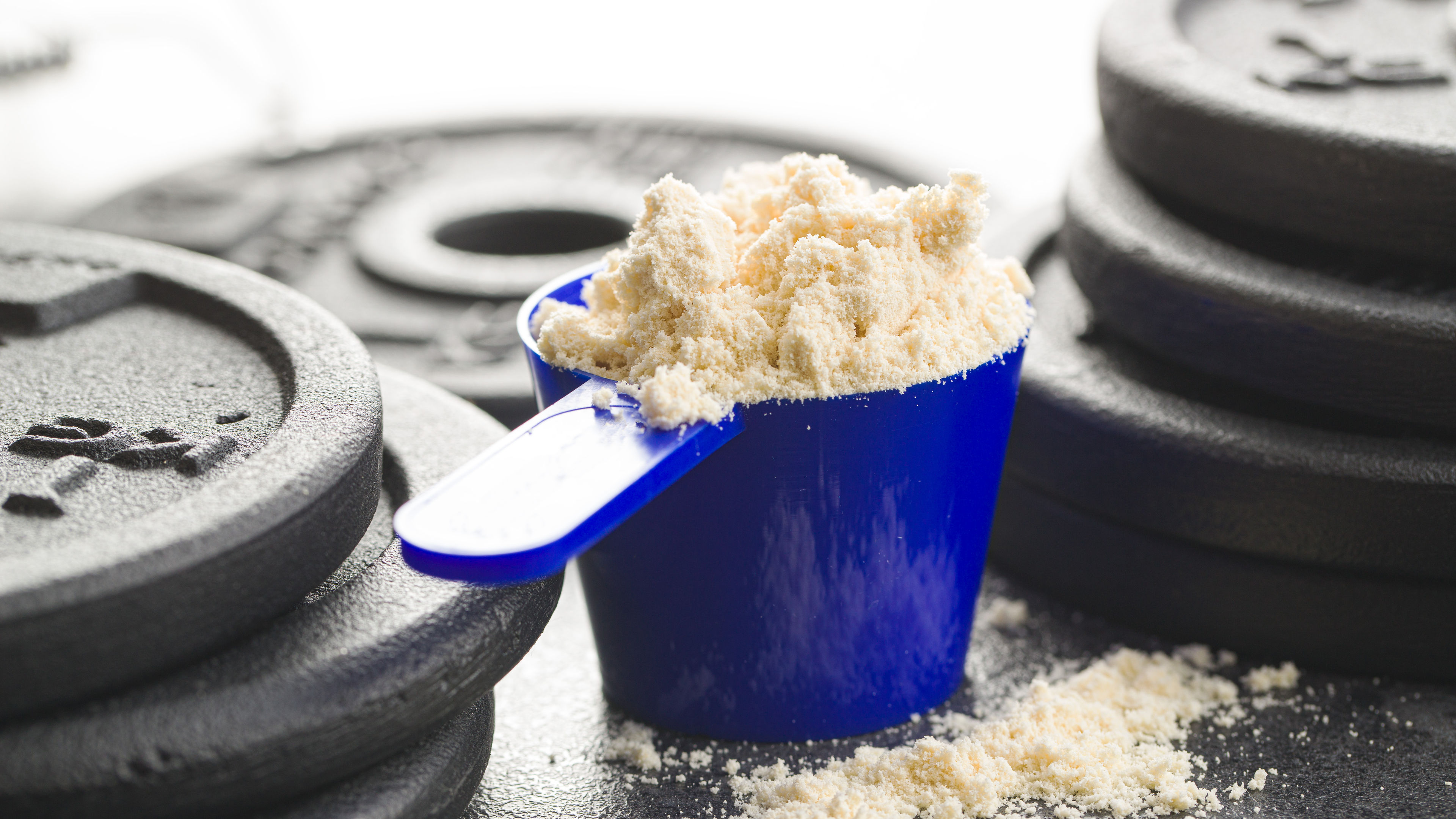 Protein powder