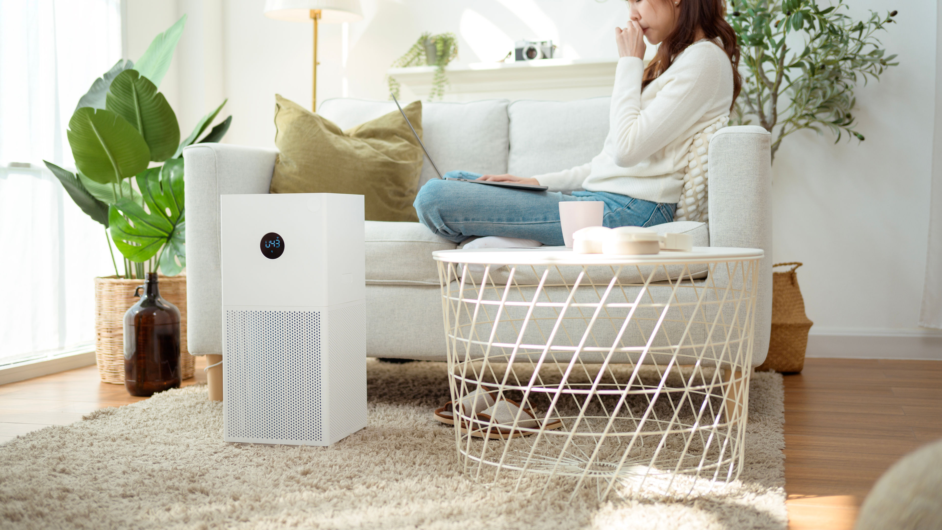 A woman sits on a couch, operating an air purifier while working on her laptop in a bright space