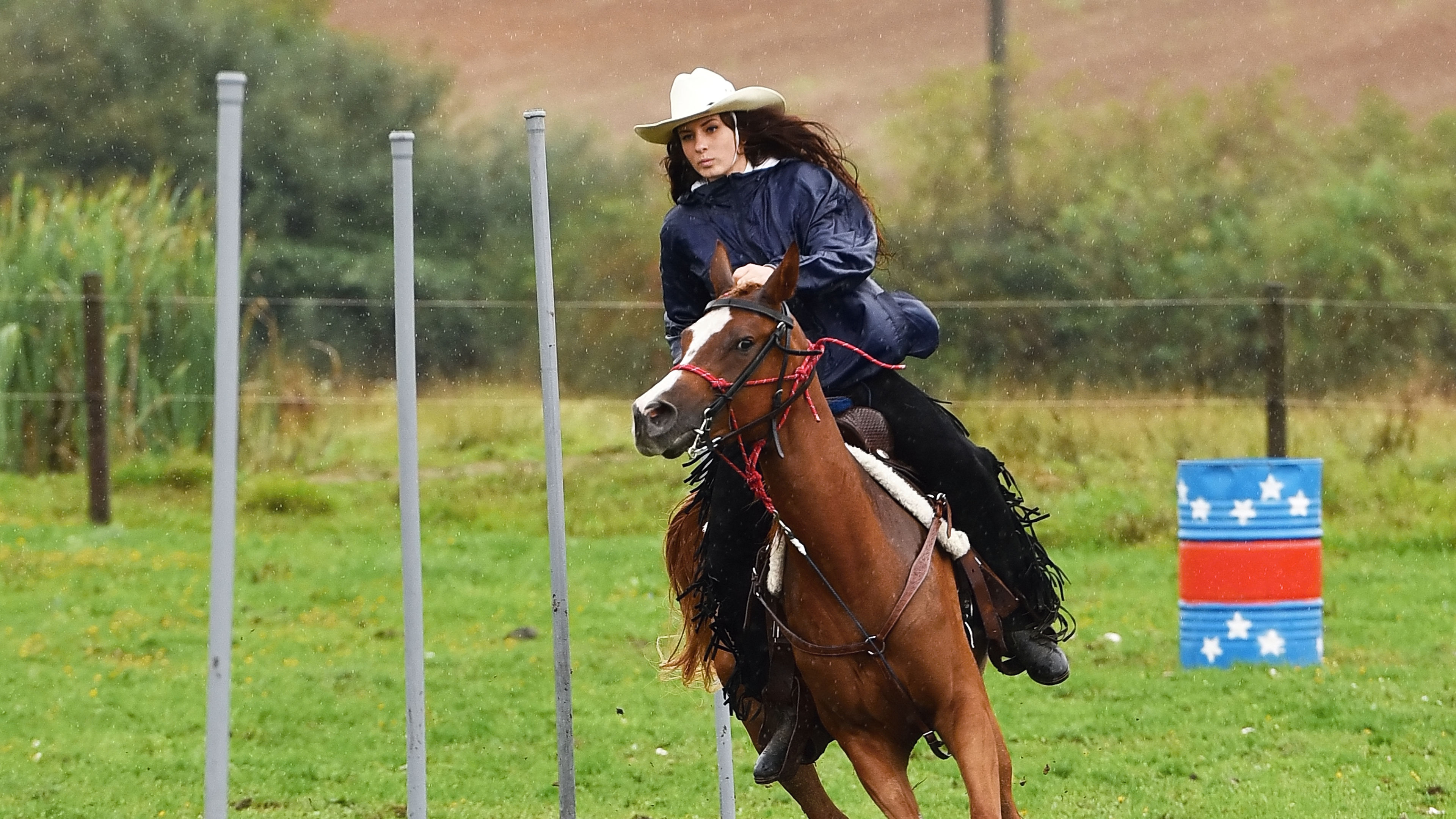 Horse race 