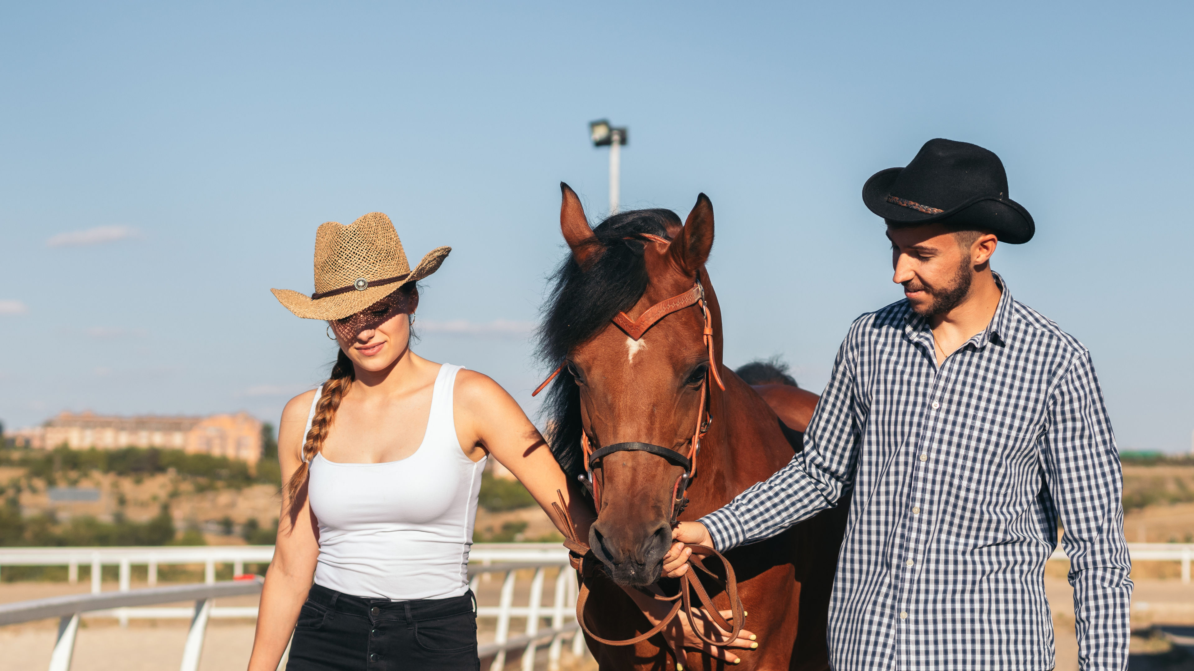 Trainers with horse